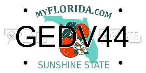GEDV44 Florida License Plate