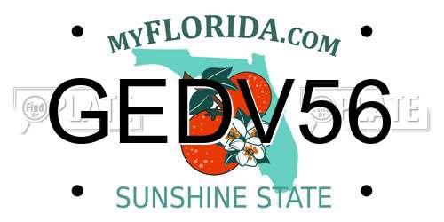 GEDV56 Florida License Plate