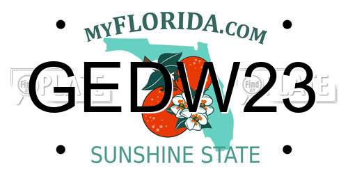 GEDW23 Florida License Plate