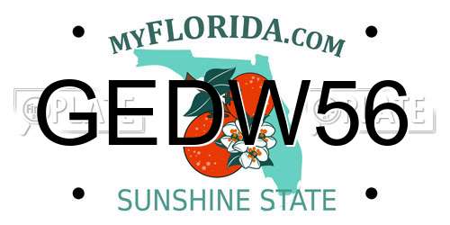 GEDW56 Florida License Plate