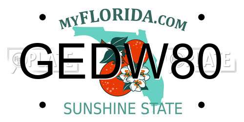 GEDW80 Florida License Plate