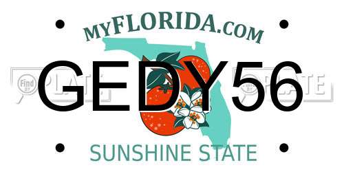 GEDY56 Florida License Plate