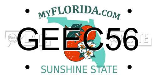 GEEC56 Florida License Plate