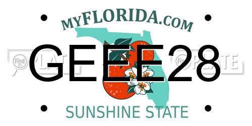 GEEE28 Florida License Plate