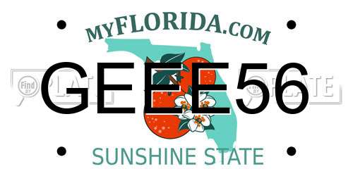 GEEE56 Florida License Plate