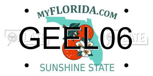 GEEL06 Florida License Plate