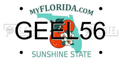 GEEL56 Florida License Plate