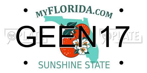 GEEN17 Florida License Plate