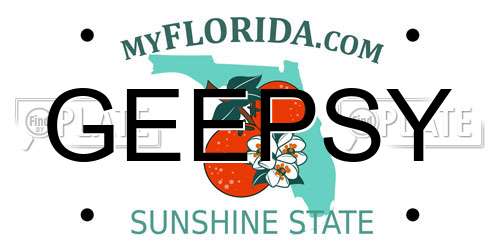 GEEPSY Florida License Plate
