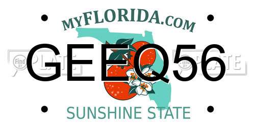 GEEQ56 Florida License Plate