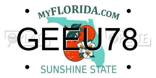 GEEU78 Florida License Plate