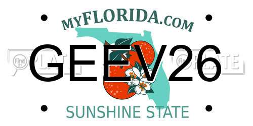 GEEV26 Florida License Plate