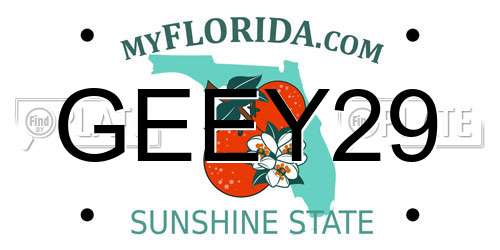 GEEY29 Florida License Plate