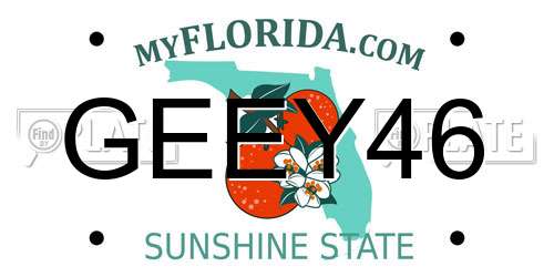 GEEY46 Florida License Plate