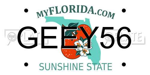 GEEY56 Florida License Plate
