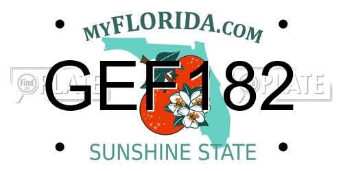 GEF182 Florida License Plate
