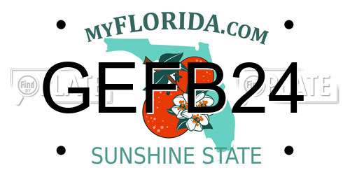 GEFB24 Florida License Plate