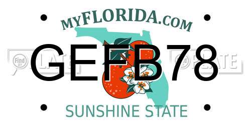 GEFB78 Florida License Plate