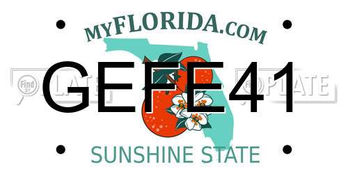 GEFE41 Florida License Plate