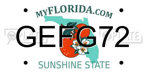 GEFG72 Florida License Plate