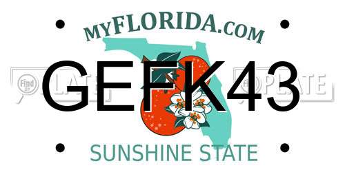 GEFK43 Florida License Plate