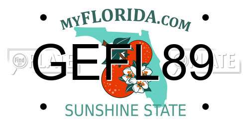 GEFL89 Florida License Plate