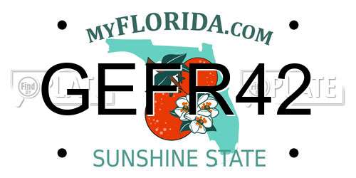 GEFR42 Florida License Plate