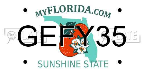 GEFY35 Florida License Plate