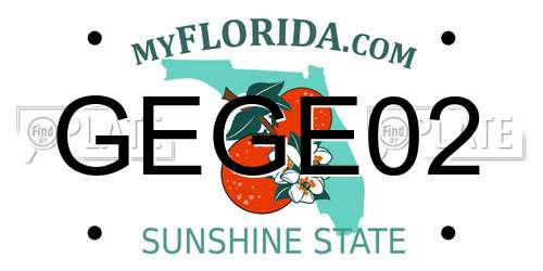 GEGE02 Florida License Plate