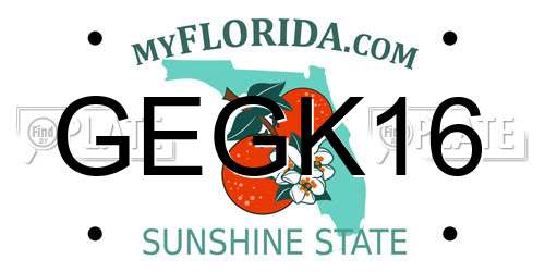 GEGK16 Florida License Plate