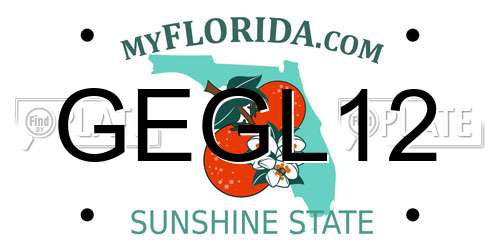GEGL12 Florida License Plate