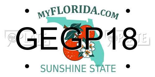 GEGP18 Florida License Plate