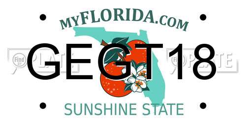 GEGT18 Florida License Plate