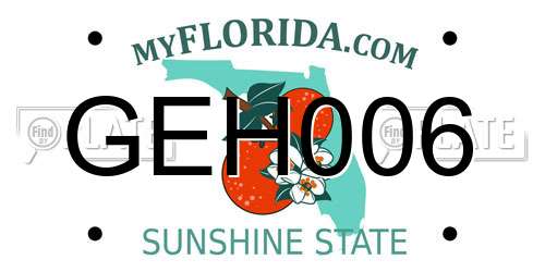 GEH006 Florida License Plate