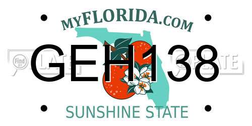GEH138 Florida License Plate