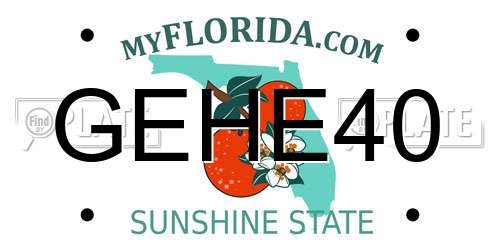 GEHE40 Florida License Plate