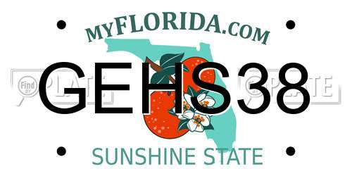 GEHS38 Florida License Plate