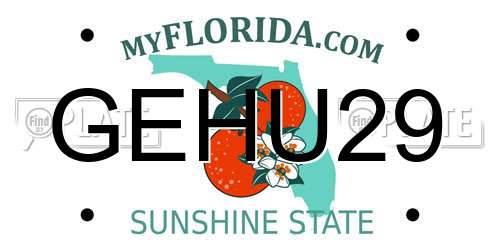 GEHU29 Florida License Plate