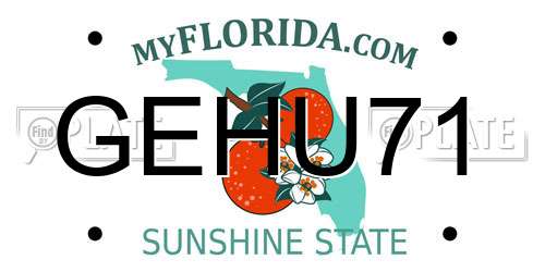 GEHU71 Florida License Plate