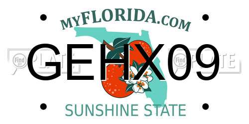 GEHX09 Florida License Plate