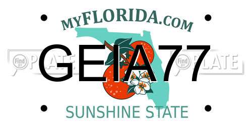GEIA77 Florida License Plate