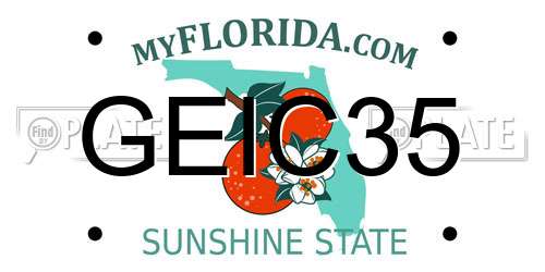 GEIC35 Florida License Plate