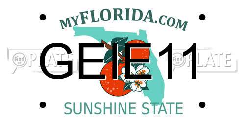 GEIE11 Florida License Plate
