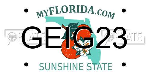 GEIG23 Florida License Plate
