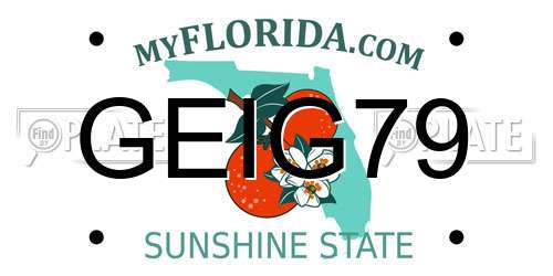 GEIG79 Florida License Plate
