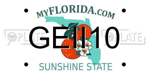 GEII10 Florida License Plate