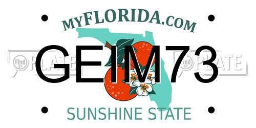 GEIM73 Florida License Plate