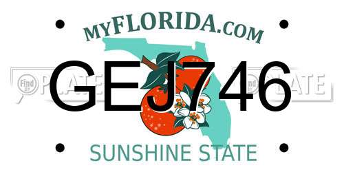 GEJ746 Florida License Plate