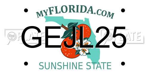 GEJL25 Florida License Plate