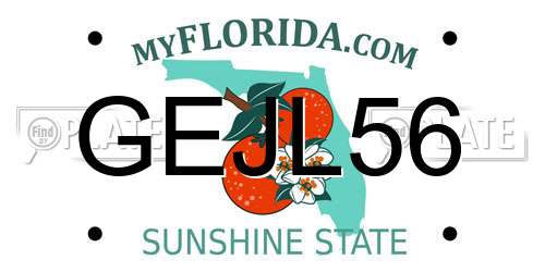 GEJL56 Florida License Plate